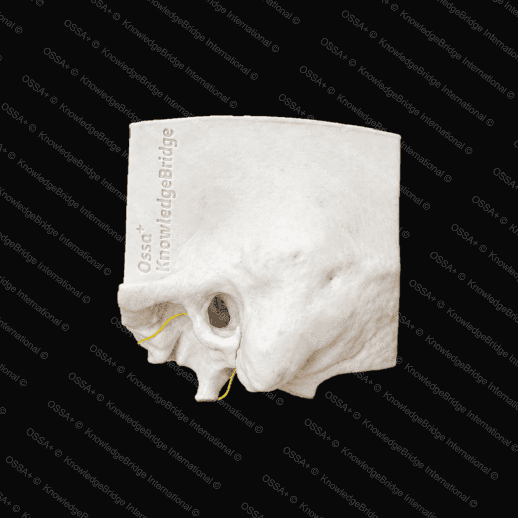 Task-Based Trainers view 1